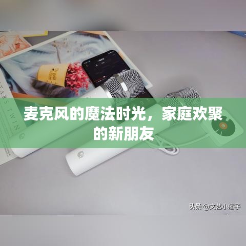 麦克风魔法时光，家庭欢聚的必备良伴