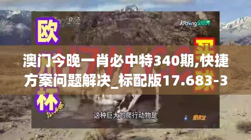 澳门今晚一肖必中特340期,快捷方案问题解决_标配版17.683-3