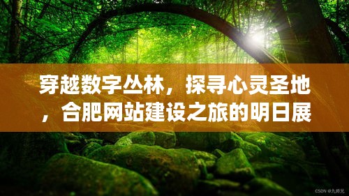 穿越数字丛林，探寻心灵圣地，合肥网站建设之旅展望未来