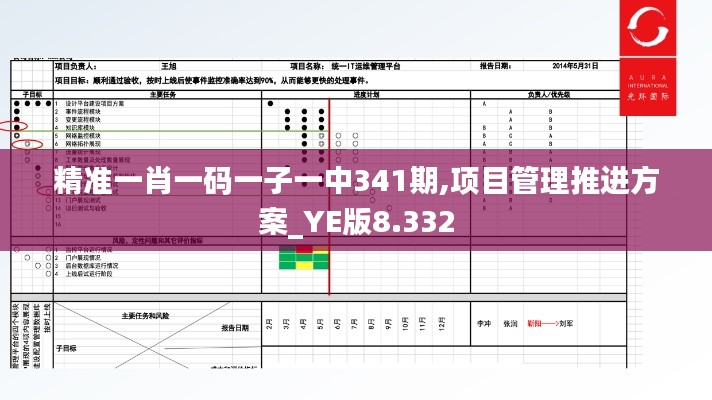 精准一肖一码一子一中341期,项目管理推进方案_YE版8.332