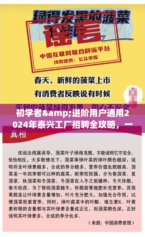 泰兴工厂招聘全攻略，初学者与进阶用户通用指南，成功应聘心仪职位的步骤