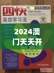 2024澳门天天开好彩大全正版340期,高效方法评估_5DM6.512