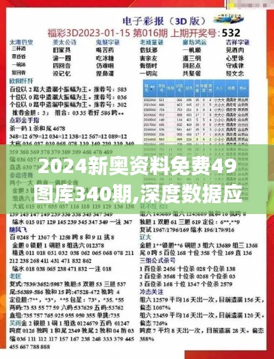 2024新奥资料免费49图库340期,深度数据应用策略_yShop1.306