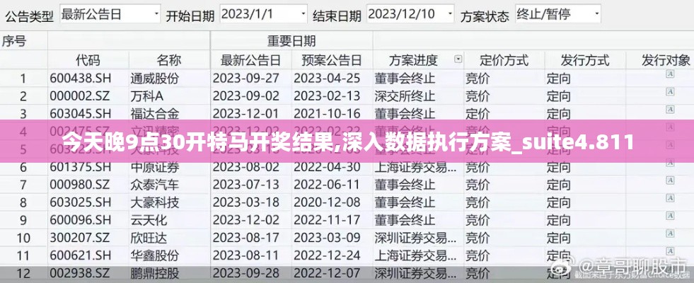 今天晚9点30开特马开奖结果,深入数据执行方案_suite4.811