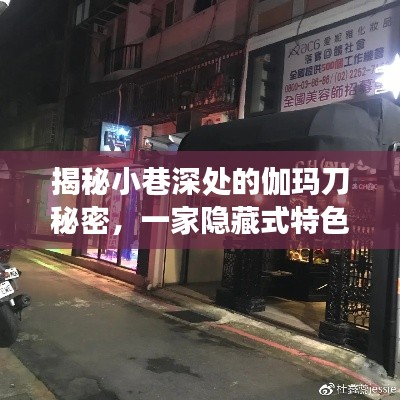 小巷深处的伽玛刀秘密，隐藏特色小店的独特风采与传奇故事