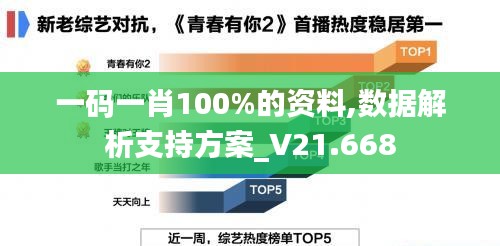 一码一肖100%的资料,数据解析支持方案_V21.668