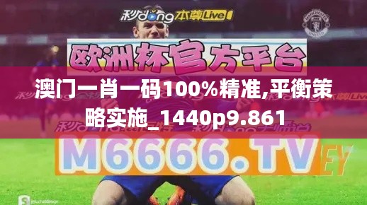 澳门一肖一码100%精准,平衡策略实施_1440p9.861