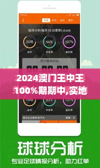 2024澳门王中王100%期期中,实地数据评估设计_手游版3.120