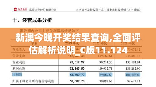 新澳今晚开奖结果查询,全面评估解析说明_C版11.124