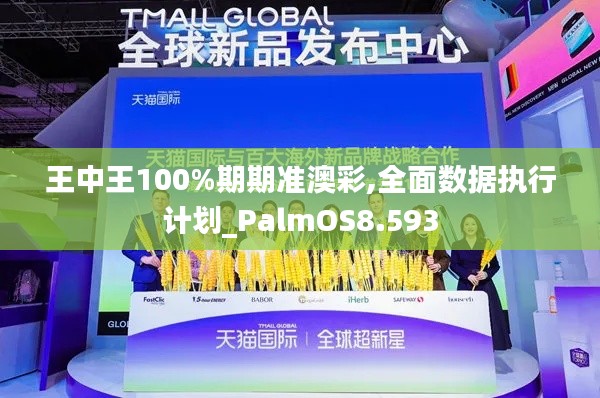 王中王100%期期准澳彩,全面数据执行计划_PalmOS8.593