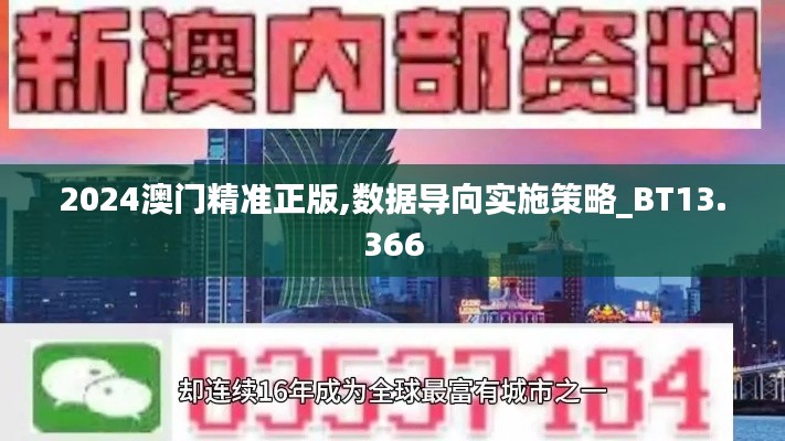 2024澳门精准正版,数据导向实施策略_BT13.366