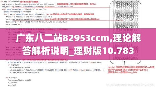 广东八二站82953ccm,理论解答解析说明_理财版10.783