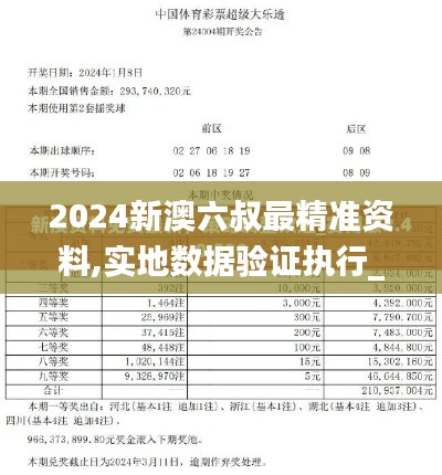 2024新澳六叔最精准资料,实地数据验证执行_XR19.371