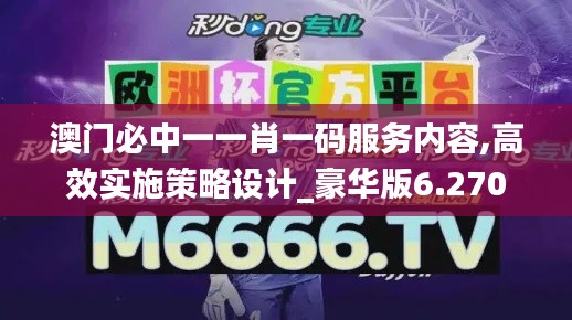 澳门必中一一肖一码服务内容,高效实施策略设计_豪华版6.270