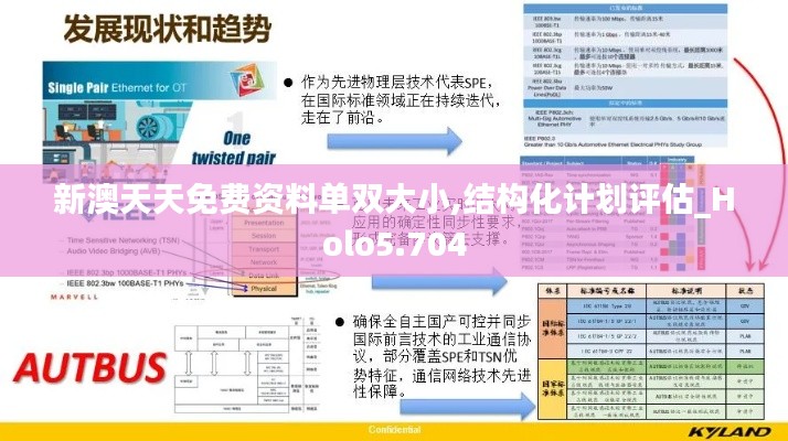 新澳天天免费资料单双大小,结构化计划评估_Holo5.704