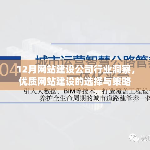 12月网站建设行业深度洞察，优质网站建设的选择与策略指南