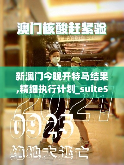 新澳门今晚开特马结果,精细执行计划_suite5.356