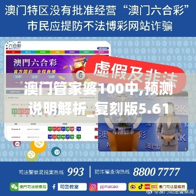 澳门管家婆100中,预测说明解析_复刻版5.613