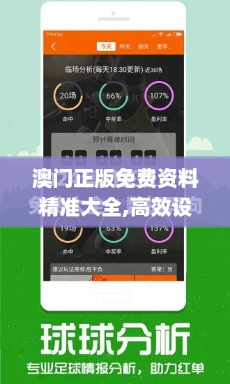 澳门正版免费资料精准大全,高效设计计划_RemixOS8.766