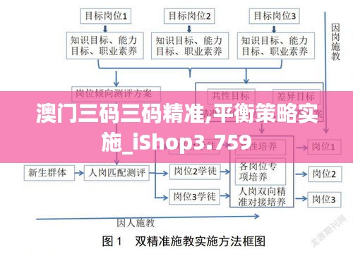 澳门三码三码精准,平衡策略实施_iShop3.759