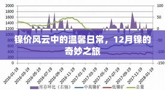 镍价风云下的温馨日常与12月镍的奇妙之旅