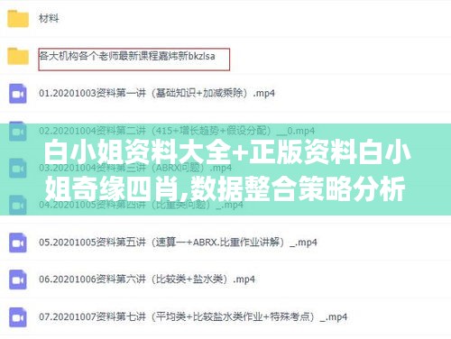 白小姐资料大全+正版资料白小姐奇缘四肖,数据整合策略分析_Z7.533