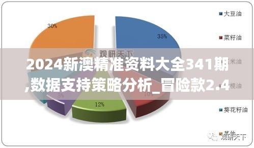 2024新澳精准资料大全341期,数据支持策略分析_冒险款2.494