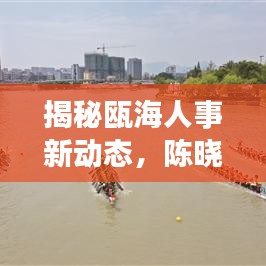 瓯海人事新动态揭秘，陈晓的隐藏小店探秘之旅