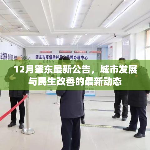 肇东城市发展与民生改善最新动态公告（十二月版）