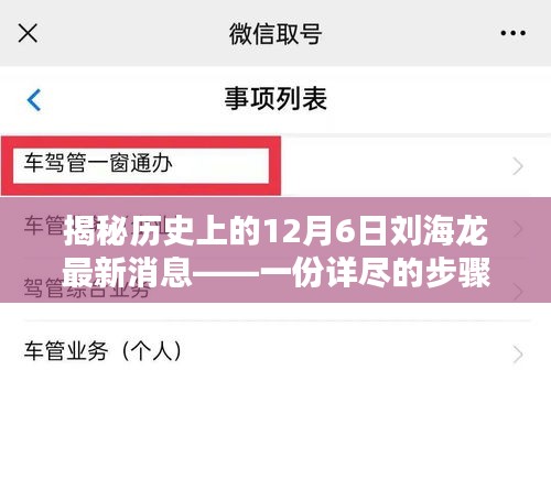 揭秘刘海龙最新消息，历史背景下的十二月六日事件与详尽步骤指南