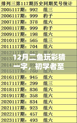 12月二鱼玩彩猜一字，初学者至进阶用户的全方位指南