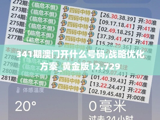 341期澳门开什么号码,战略优化方案_黄金版12.729