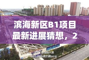 滨海新区B1项目未来展望，最新进展与2024年展望揭秘