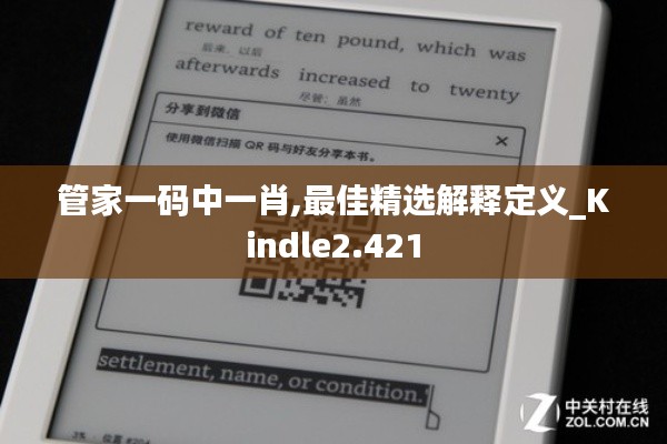 管家一码中一肖,最佳精选解释定义_Kindle2.421