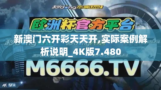 新澳门六开彩天天开,实际案例解析说明_4K版7.480