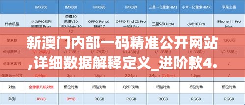 新澳门内部一码精准公开网站,详细数据解释定义_进阶款4.943