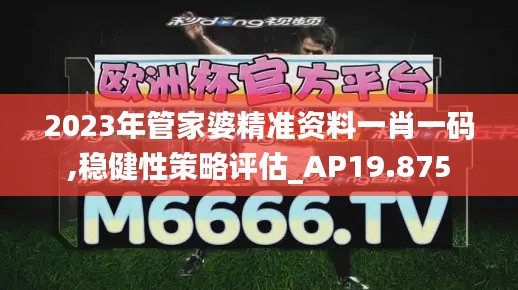 2023年管家婆精准资料一肖一码,稳健性策略评估_AP19.875