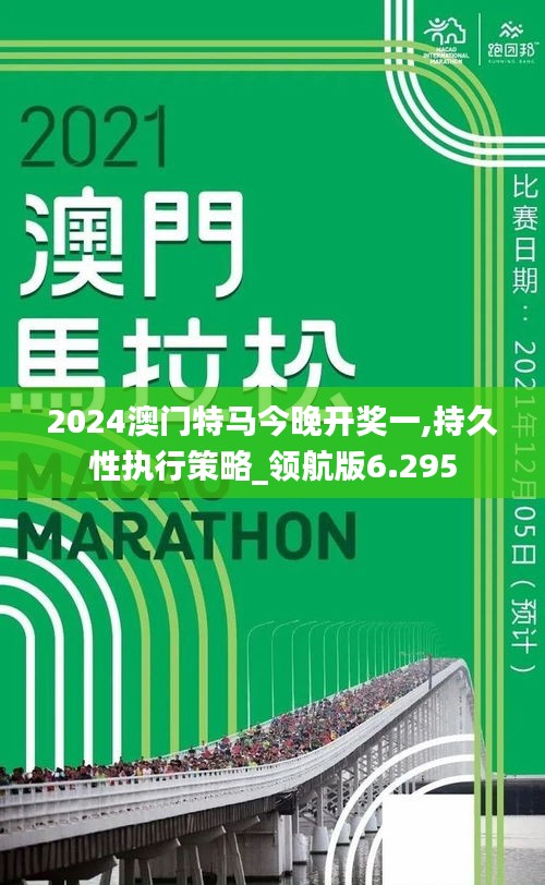 2024澳门特马今晚开奖一,持久性执行策略_领航版6.295