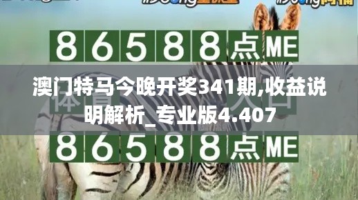 澳门特马今晚开奖341期,收益说明解析_专业版4.407