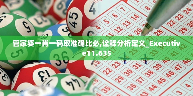 管家婆一肖一码取准确比必,诠释分析定义_Executive11.635