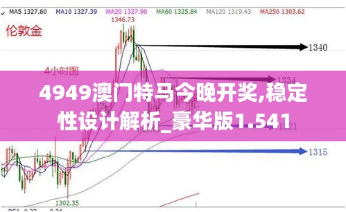 4949澳门特马今晚开奖,稳定性设计解析_豪华版1.541