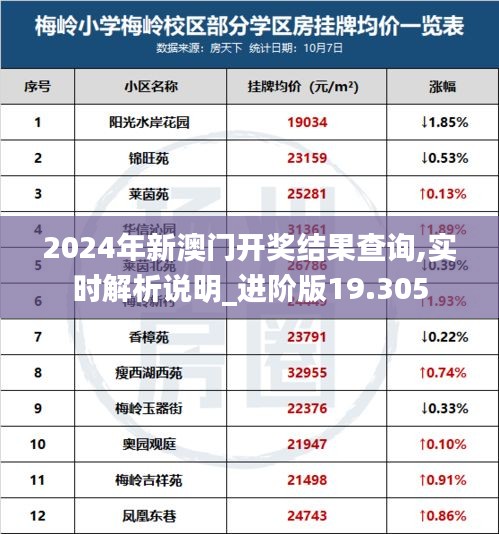 2024年新澳门开奖结果查询,实时解析说明_进阶版19.305