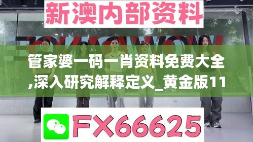 管家婆一码一肖资料免费大全,深入研究解释定义_黄金版11.560