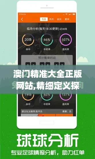 澳门精准大全正版网站,精细定义探讨_FT7.472