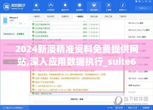 2024新澳精准资料免费提供网站,深入应用数据执行_suite6.813