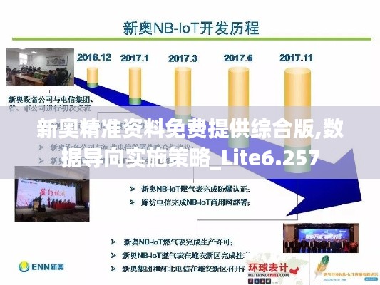 新奥精准资料免费提供综合版,数据导向实施策略_Lite6.257