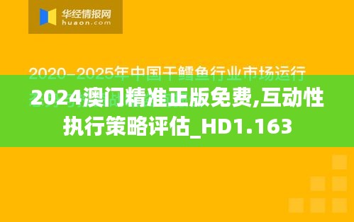 2024澳门精准正版免费,互动性执行策略评估_HD1.163