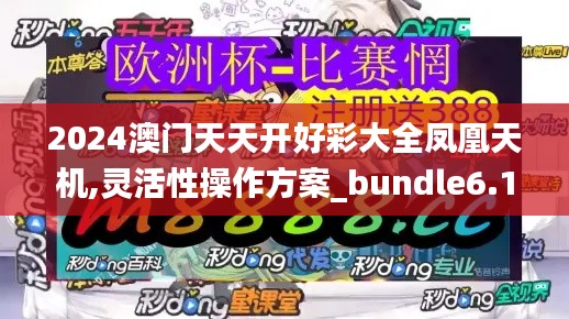 2024澳门天天开好彩大全凤凰天机,灵活性操作方案_bundle6.142