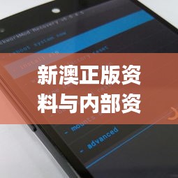 新澳正版资料与内部资料,持续执行策略_Nexus4.148