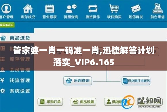 管家婆一肖一码准一肖,迅捷解答计划落实_VIP6.165